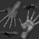 hands