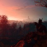 witcher3_nexusmod_1