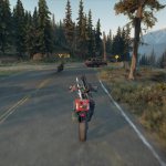 daysgone15